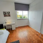 Rent a room of 143 m² in Lisboa