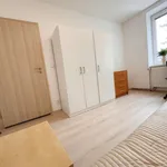 Rent 1 bedroom apartment in Brno