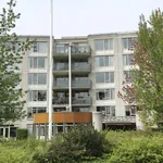 Rent 2 bedroom apartment of 88 m² in Roosendaal