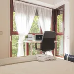 Rent a room in Madrid