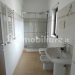 Rent 2 bedroom apartment of 45 m² in Palermo