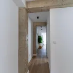 Rent 4 bedroom apartment in Valencia