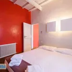 Rent 2 bedroom apartment of 60 m² in Florence