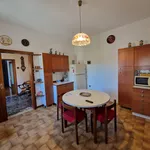 Rent 3 bedroom apartment of 125 m² in Padua