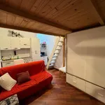 Rent 1 bedroom apartment of 35 m² in Milano