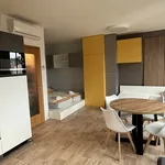 Rent 1 bedroom apartment of 35 m² in Brno