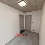 Rent 3 bedroom apartment of 441 m² in Brno