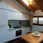 Rent 2 bedroom apartment of 63 m² in Bologna