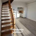 Pronajměte si 3 ložnic/e byt o rozloze 60 m² v Litvínov