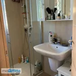 Rent 3 bedroom apartment of 50 m² in Rome