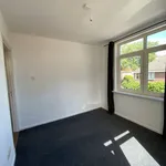 Rent 2 bedroom apartment of 80 m² in Eindhoven