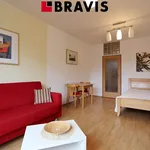 Rent 1 bedroom apartment in Brno