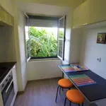 Rent 1 bedroom apartment in Lisbon