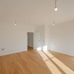 Rent 3 bedroom apartment of 85 m² in Vienna