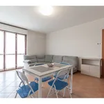 Rent 2 bedroom apartment of 68 m² in Milano