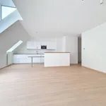 Rent 1 bedroom apartment in Brussels