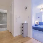 Rent 1 bedroom flat in Bristol