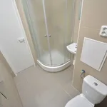 Rent 1 bedroom apartment in Sokolov