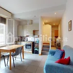 Rent 3 bedroom apartment of 65 m² in Bologna