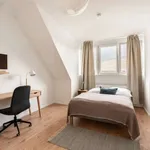 Rent a room in berlin