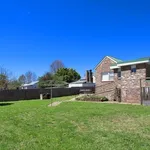 Rent 4 bedroom house in  Armidale NSW 2350                        