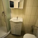 Rent 1 bedroom apartment in Děčín