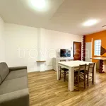 Rent 2 bedroom apartment of 50 m² in Jesolo