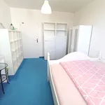 Rent a room of 80 m² in Prague