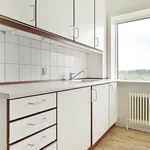 Rent 4 bedroom house of 100 m² in Aalborg SØ