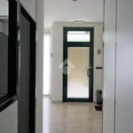 Rent 3 bedroom apartment of 97 m² in Pescara