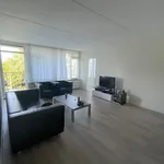 Rent 4 bedroom apartment of 101 m² in Leiden