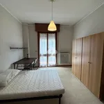 Rent 2 bedroom apartment of 60 m² in Parma