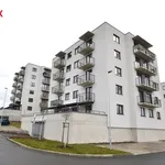 Rent 2 bedroom apartment of 49 m² in plzen