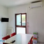 Appartamento arredato con terrazzo Lido di fermo