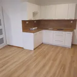 Rent 1 bedroom apartment in Frýdek - Místek