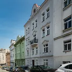 Rent 1 bedroom apartment of 35 m² in Capital City of Prague