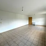 Rent 1 bedroom apartment in Gedinne