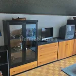 2-room flat via Monte Rosa 100, Staffa, Macugnaga