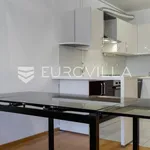 Rent 1 bedroom apartment of 59 m² in Zagreb