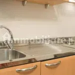 Rent 1 bedroom apartment of 30 m² in Florence