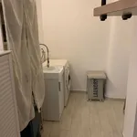 Rent 2 bedroom apartment of 65 m² in Bologna