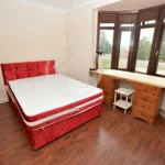 Rent 1 bedroom flat in Colchester