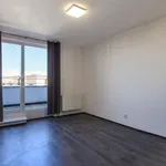 Rent 2 bedroom apartment of 41 m² in Pilsen