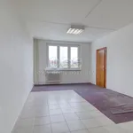 Pronajměte si 1 ložnic/e byt o rozloze 41 m² v Plzeň