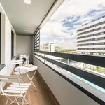 Alquilo 1 dormitorio apartamento de 66 m² en Madrid