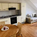 Rent 2 bedroom apartment of 38 m² in Bad Homburg