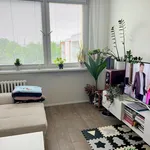 Rent 2 bedroom apartment in Nymburk