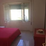 Rent 4 bedroom apartment of 90 m² in Terracina