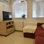 Rent 5 bedroom apartment of 71 m² in Madrid