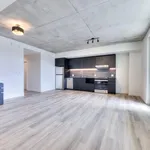  appartement avec 1 chambre(s) en location à Montreal